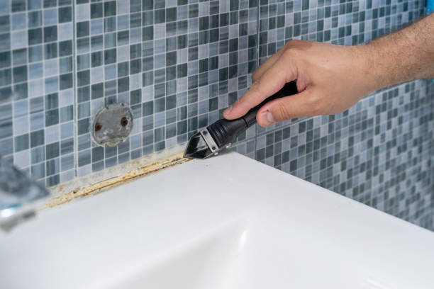 Best Health and Safety Mold Remediation in Woodmont, CT