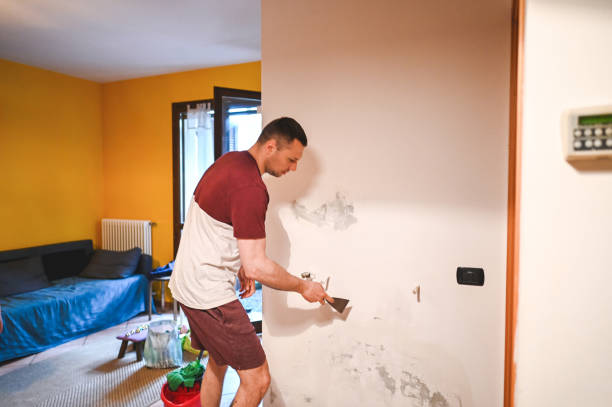Professional Mold Remediation in Woodmont, CT